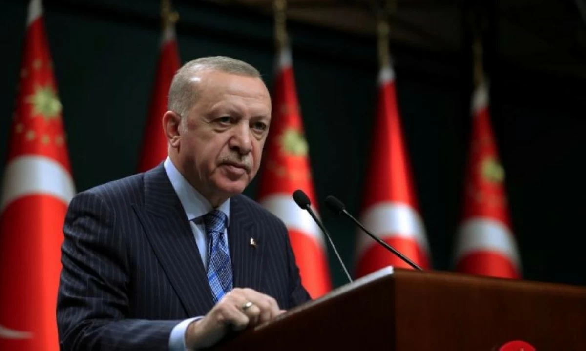 الرئيس التركي رجب طيب أردوغان