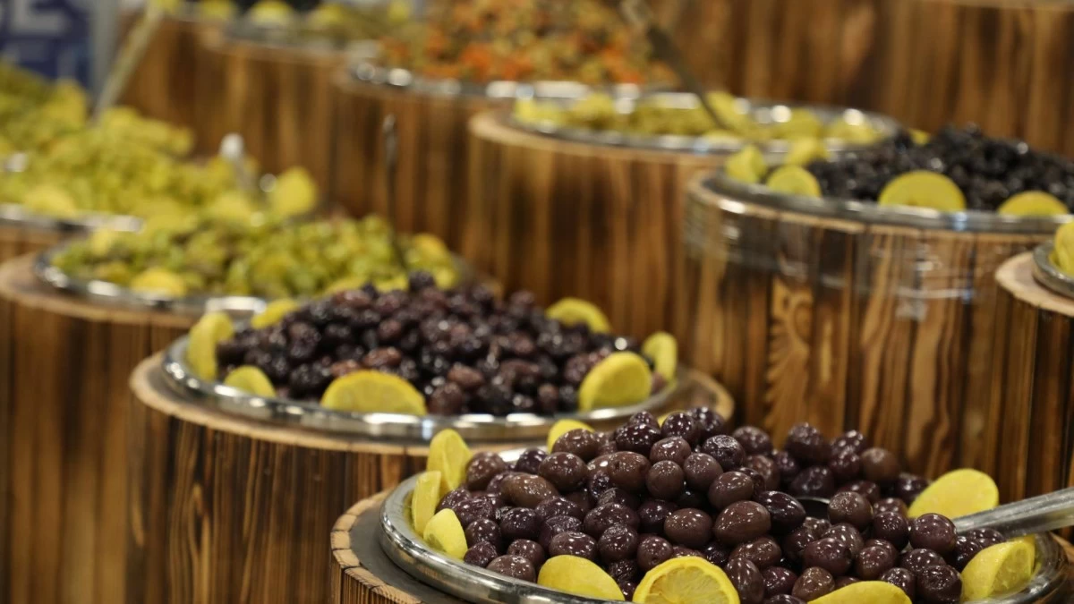 مهرجان الزيتون