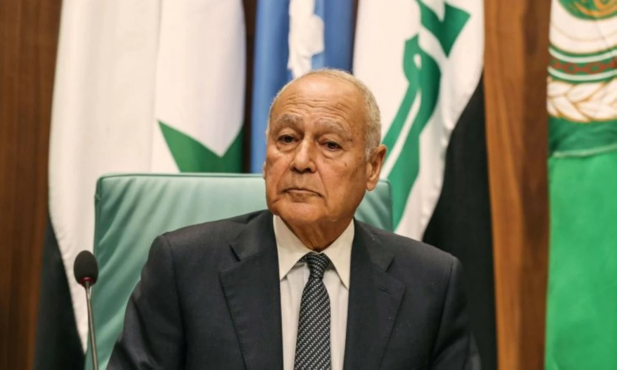 أحمد أبو الغيط