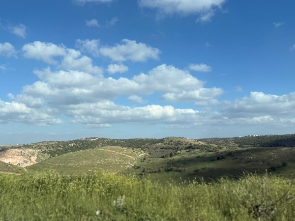 طقس لطيف ودافئ اليوم #الأردن 