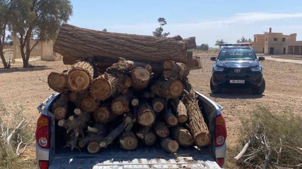 زراعة الأزرق تضبط اعتداء على الثروة الحرجية