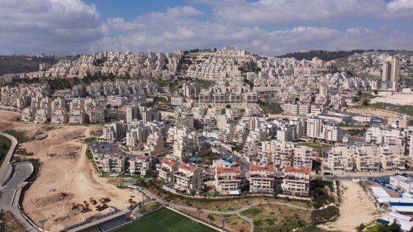 بلجيكا: حل الدولتين المسار الوحيد لتحقيق سلام وأمن دائمين
