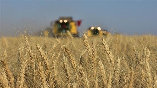 فرنسا تحذر من أزمة غذاء عالمية بسبب الحرب على إيران