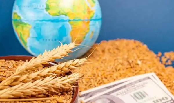 مؤسسات دولية: الحرب في الشرق الأوسط تهدد الطاقة والأمن الغذائي والاقتصاد