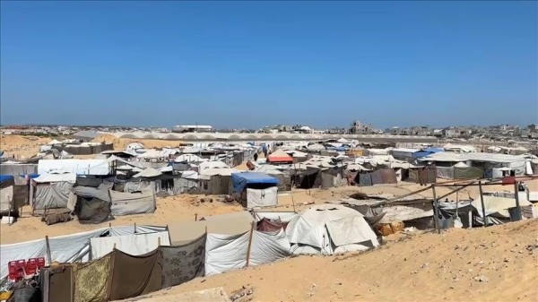 من تراب النزوح إلى موائد الجيران.. فلسطينية تزرع الخير في غزة