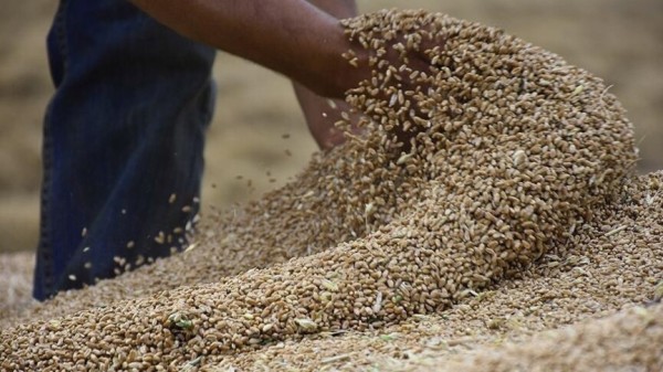 الفاو: ارتفاع أسعار الغذاء 2.9 بالمئة خلال مايو بسبب الحرب ع