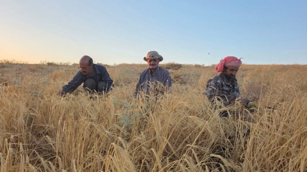 مربو مواشٍ في الكرك يطالبون بتعبيد طريق زراعي بسبب وعورتها الأردن الكرك التفاصيل 