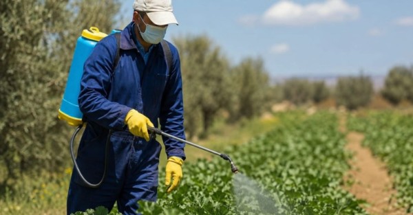 متخصصون يحذرون من الإفراط في استخدام المبيدات الزراعية #الاردن 