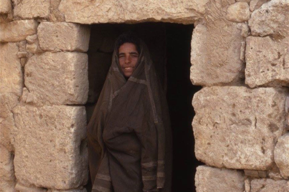 بيوت زيزيا
