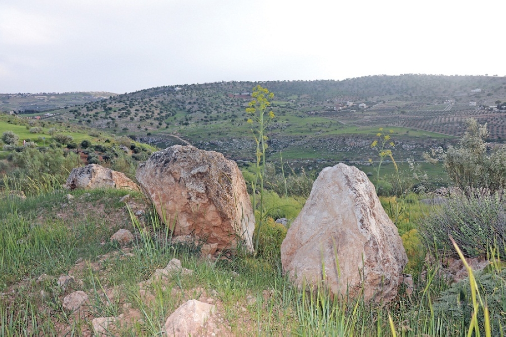  تصوير : زيد القرالة