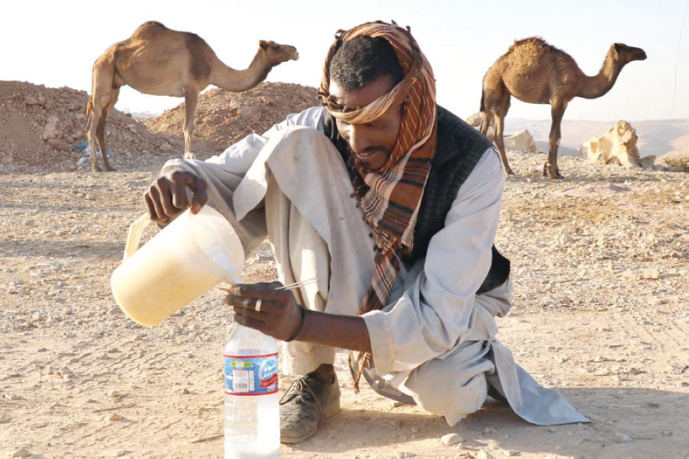 تصوير - محمد القرالة