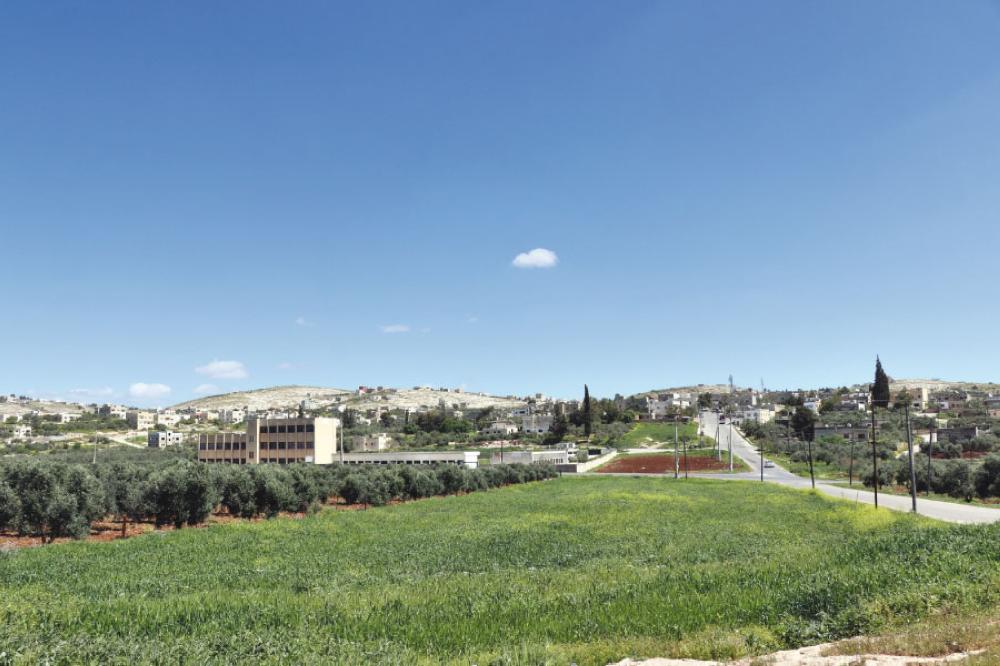 تصوير - محمد القرالة