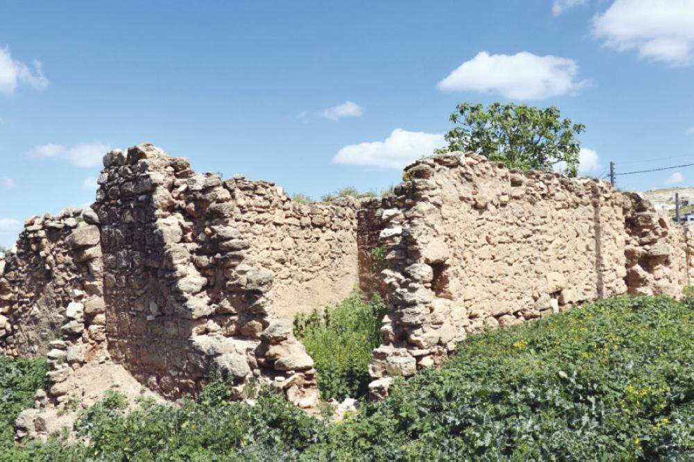 تصوير - محمد القرالة