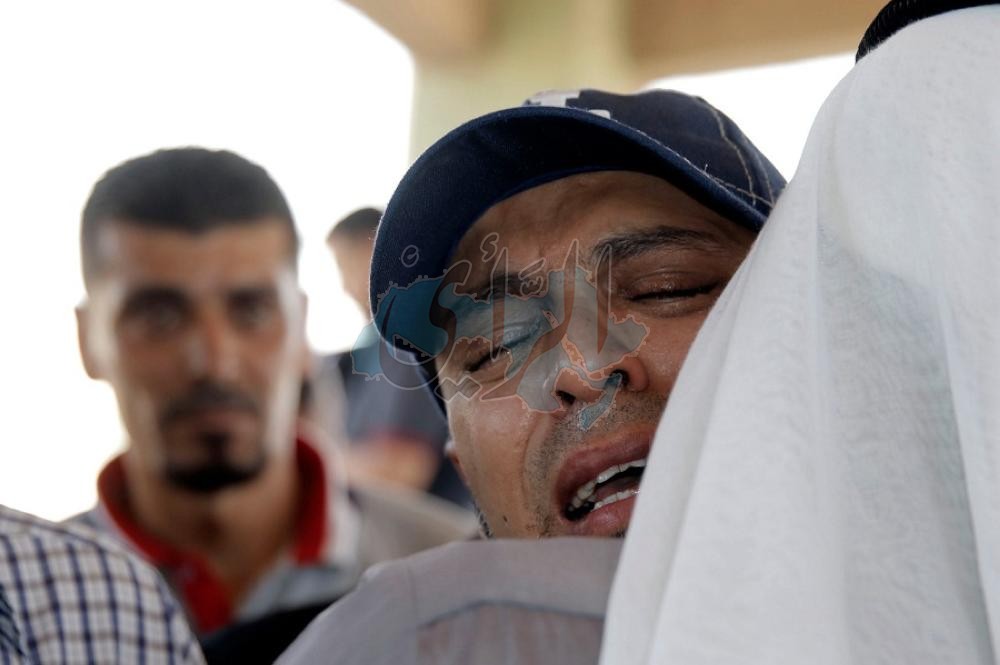 تصوير : أسامة العقاربة
