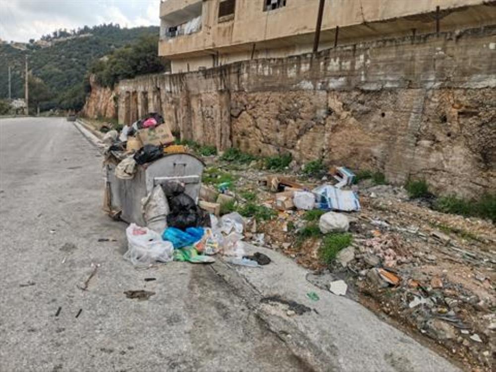 عجلون : مطالب بمتابعة اوضاع النظافة والتخلص منها بشكل آمن | صحيفة الرأي