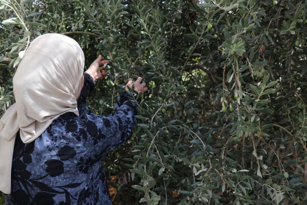 تصوير محمد القرالة