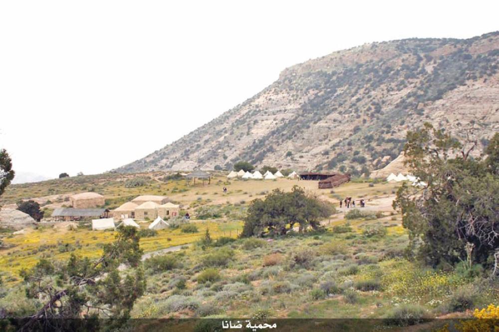 وزير البيئة: اقتطاع جزء من ضانا يعود لللجنة الفنية - Vimarsana News